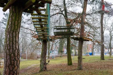 Trees of the rope park with platforms on trunks and hanging bridges. Obstac.. Stock Photos