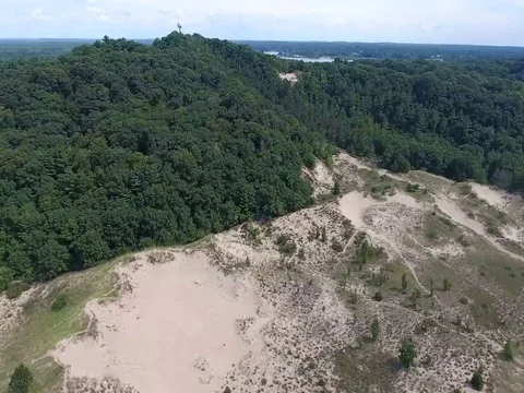 Trees sand dunes Stock Footage 69204740