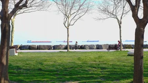 Trees with Sea View in the Background, 4k Stock Footage 314466622