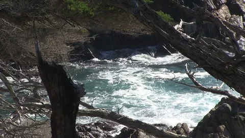 Trees sea waves, Big Sur, California Stock Footage 77011187
