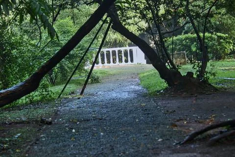 Trees that seem to cross over the path. Stock Photos