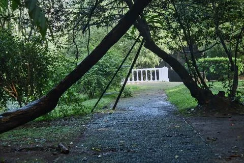 Trees that seem to cross over the path. Stock Photos