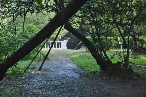Trees that seem to cross over the path. Foto stock
