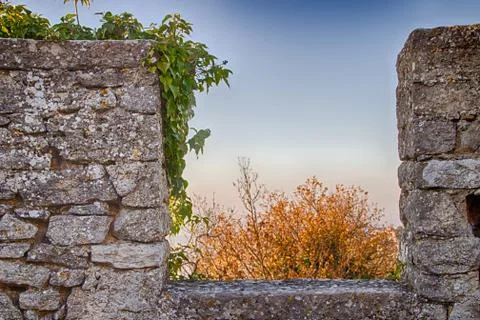 Trees seen through the battlements Stock Photos