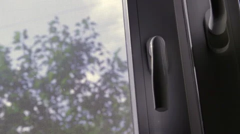 Trees Seen From A Window, Nature, Close Up, Sky, Sun, Clouds, Rack Focus Stock Footage 43538939