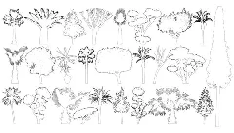 Trees set , contours. Collection of tropical plants. Isolated. Vector illus.. Stock Illustration