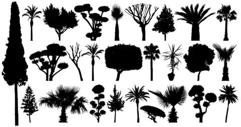 Trees set silhouette vector. Collection of plants and bushes. Isolated on a w Stock Illustration