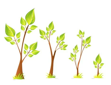 Trees set vector design Stock Illustration