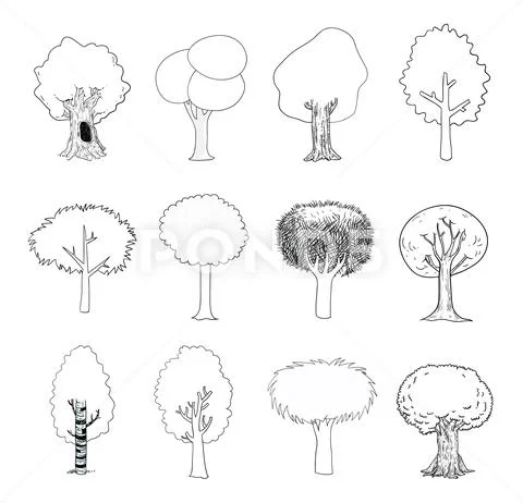 Trees set, vector illustration. Stock Illustration