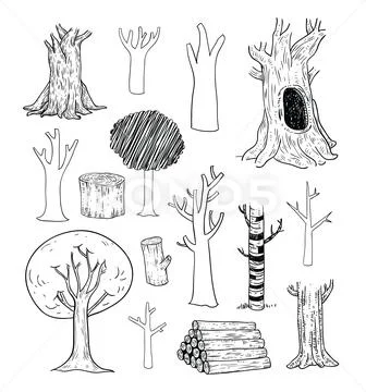 Trees set, vector illustration. Stock Illustration