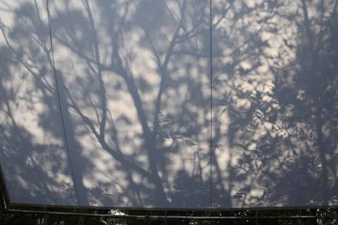 Trees shadow on cloth Stock Photos