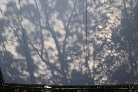Trees shadow on cloth Stock Photos