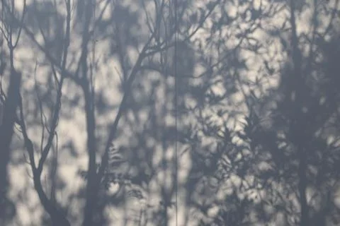 Trees shadow on cloth Stock Photos