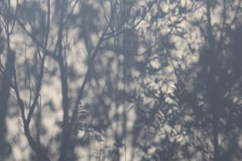 Trees shadow on cloth Stock Photos
