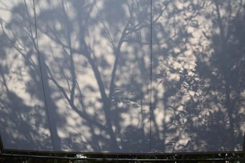 Trees shadow on cloth Stock Photos