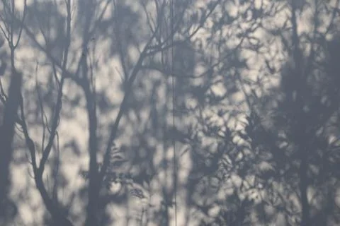 Trees shadow on cloth Stock Photos