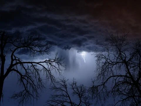 Trees in shadow during a storm Stock Photos