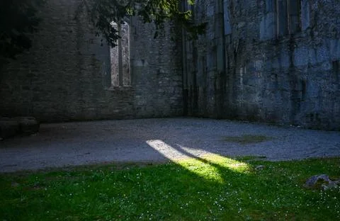 A trees shadow falls on the ground before a stone wall Stock Photos