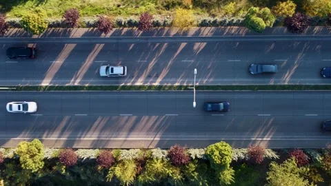 Trees shadows and traffic on the highway at the sunset Stock Footage 168555205
