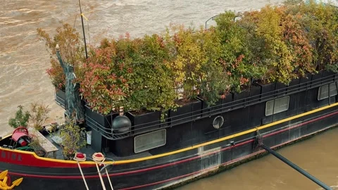 Trees on the ship Stock Footage 346083257