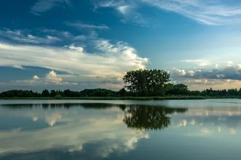 Trees on the shore and reflection of clouds in the water Stock Photos
