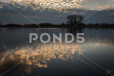 Trees on the shore of the lake and reflection of clouds in the water Stock Photos