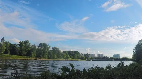 Trees on shore of lake on summer Stock Footage 82368476