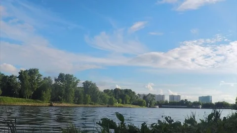 Trees on shore of a lake on summer Vidéo 82369356