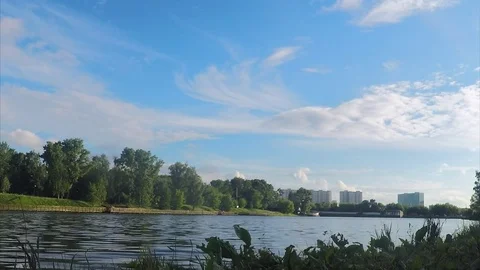 Trees on shore of a pond on summer Stock Footage 82368249