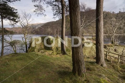 Trees on the shore of Thirlemere in the lake District, England Stock Photos