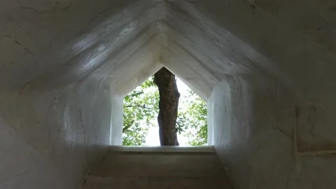 Trees - Shot Through Ancient Wall Tunnel Video stock 196176724