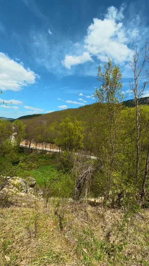 Trees show early spring growth. Vertical POV, Balkan, Eastern Europe Stockbeeldmateriaal 333699874