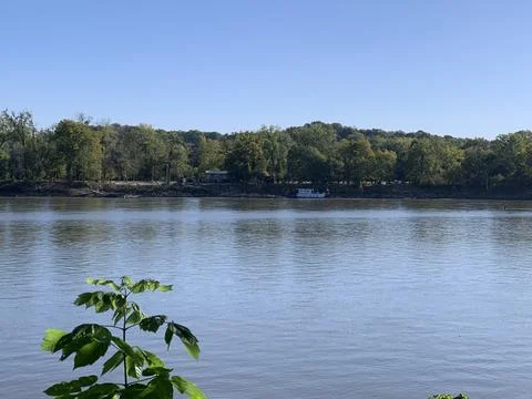 Trees on the side of the Missouri River Stock Photos