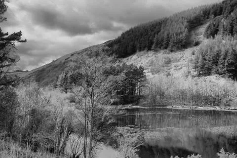 Trees on the side of a mountain reflected in a calm lake Stock Photos