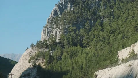 Trees on the side of a mountain in the Taurus range in Turkey Stock Footage 146029514