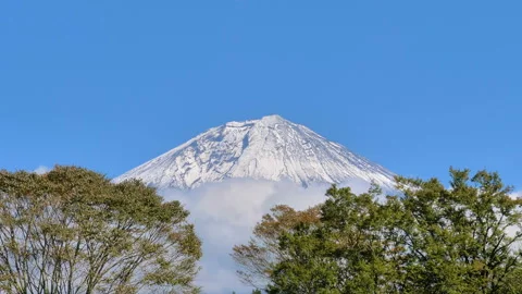 The trees on the side of the mountains in Mount Fuji in Japan Stock Footage 130471473