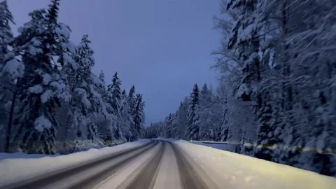 Trees on the side of the road covered in snow Vídeo Stock 291991096