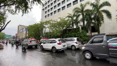 Trees on the side of the road fell due to rainstorms Stock Footage 289850548