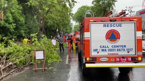 Trees on the side of the road fell due to rainstorms Stock Footage 289850805