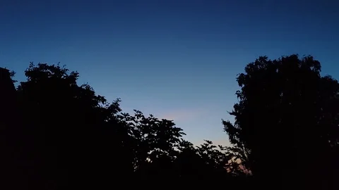 Trees Silhouette At Night Video stock 111518940