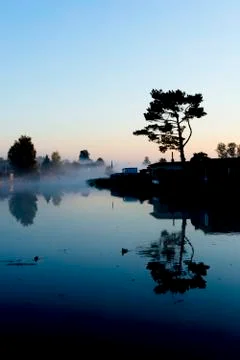 Trees Silhouette Reflected in still River at misty Dawn Stock Photos