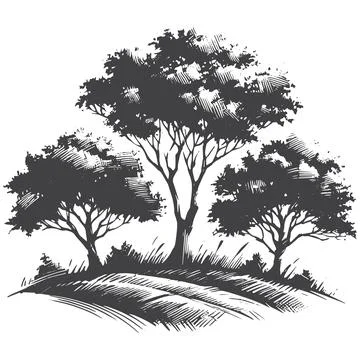 Trees Silhouette vector on white background. Stock Illustration