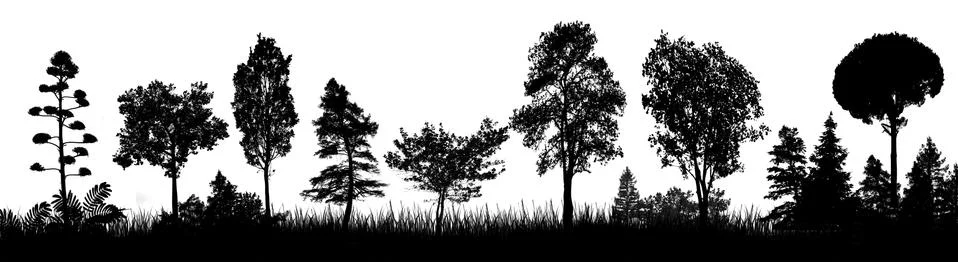 Trees silhouette on white background Stock Illustration