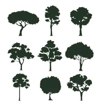 Trees silhouette on white background vector Stock Illustration
