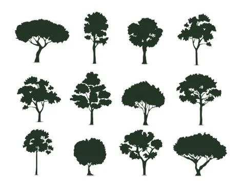 Trees silhouette on white background vector Stock Illustration
