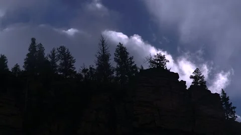 Tree's Silhouetted Against Moving Storm Clouds, real time Video stock 175972970