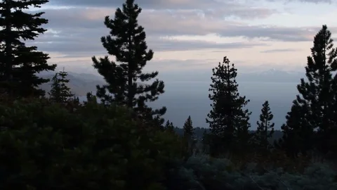 Trees silhouetted against the sunset Stock Footage 90063362