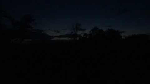 Trees silhouetted at dusk Stock Footage 40215041