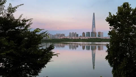 Trees silhouetted in front of Lotte Tower skyline at dusk Stock Footage 314126393