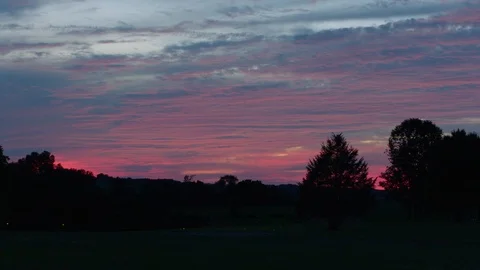 Trees Silhouetted By A Pink and Blue Sky At Dusk 4K Arri Mini Stock Footage 126721761